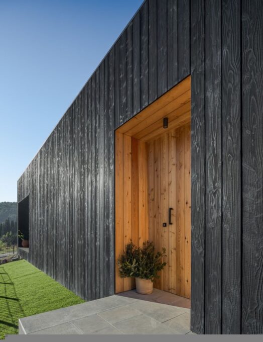 Ist verkohltes Holz wasserbeständig?