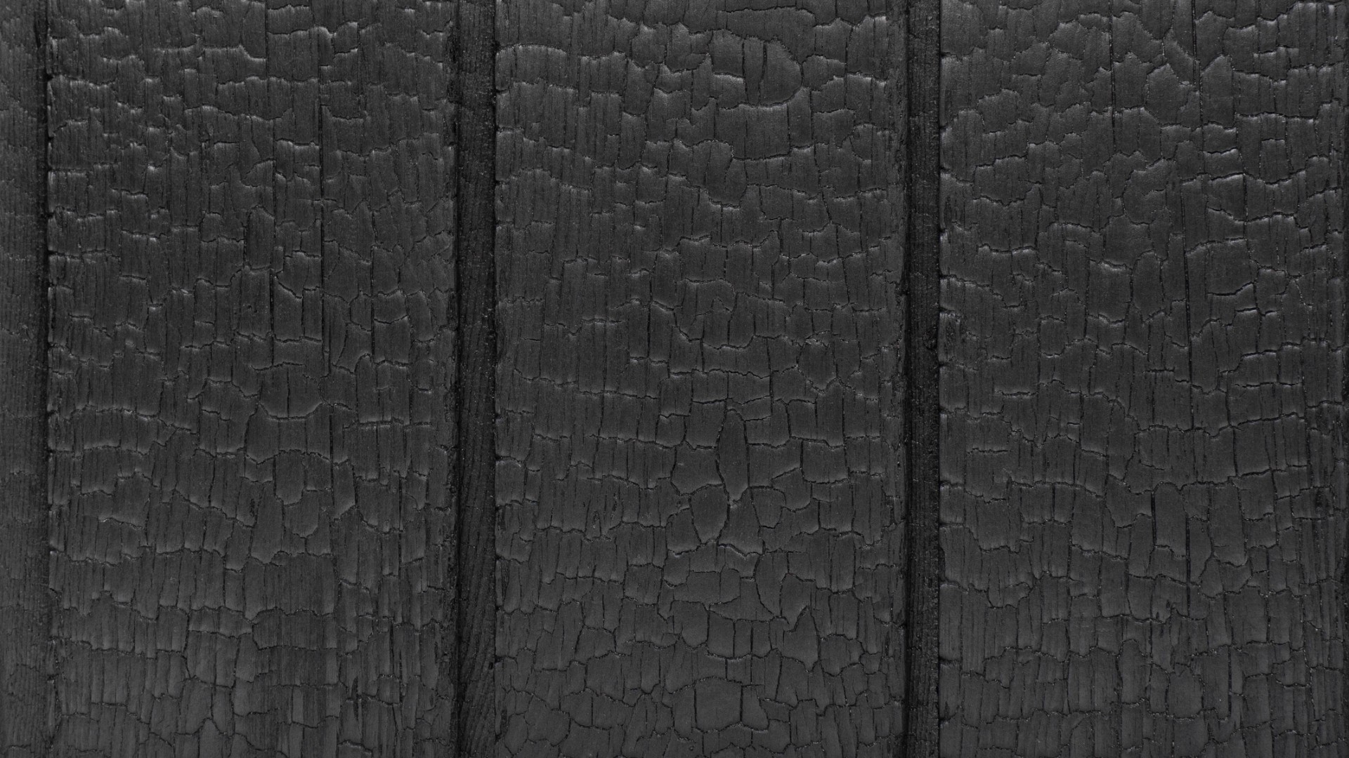 Charred wood facade