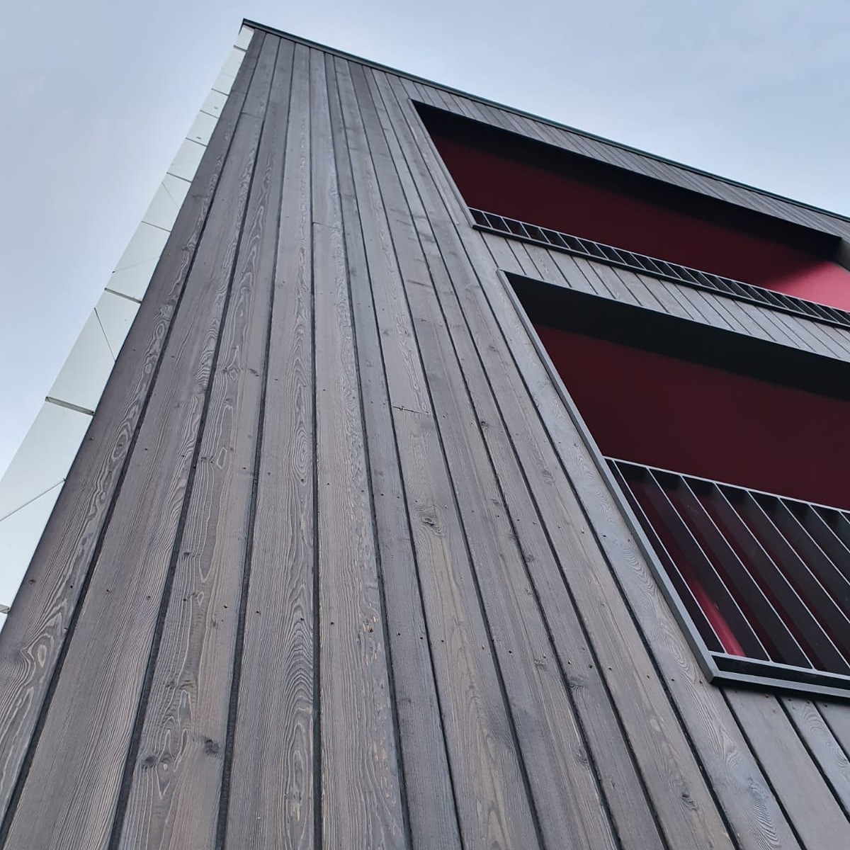 Charred larch cladding