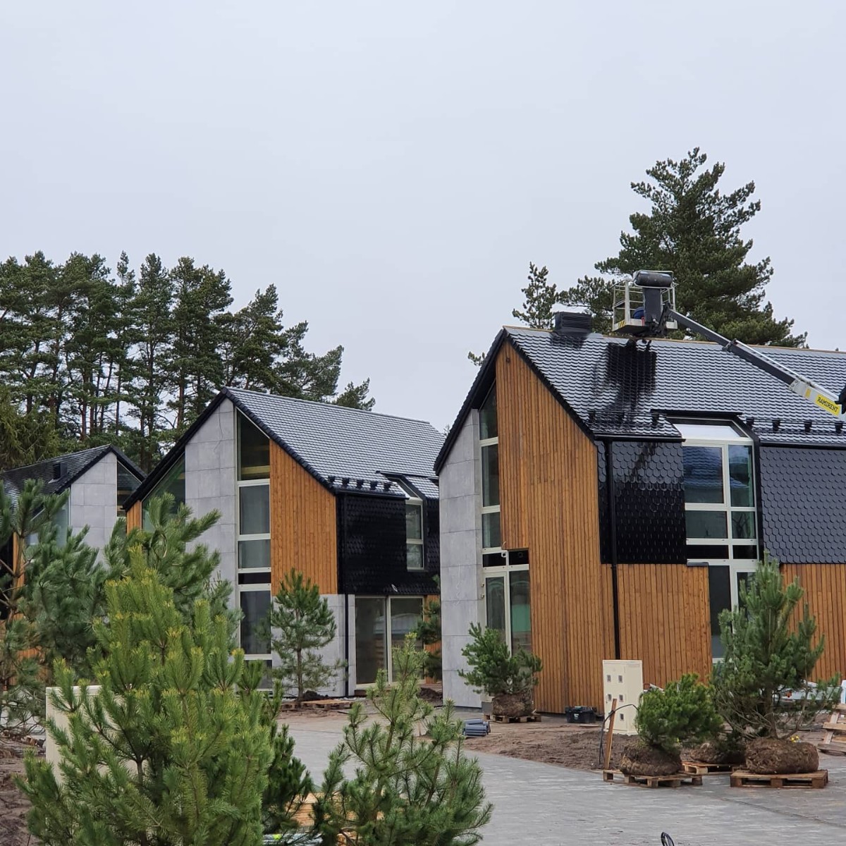 Charred wood pine cladding in exterior