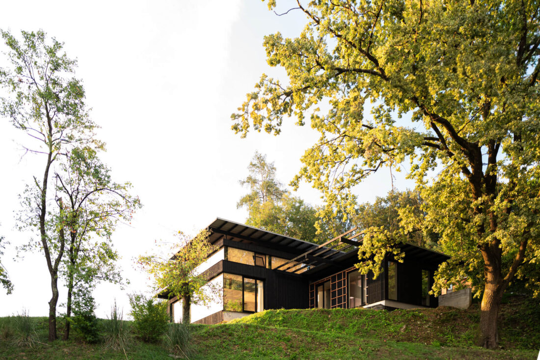 Hillside view of a modern residence in Slovenia featuring vertical Degmeda "Dark Black" larch charred wood boards and wide roof overhangs.
