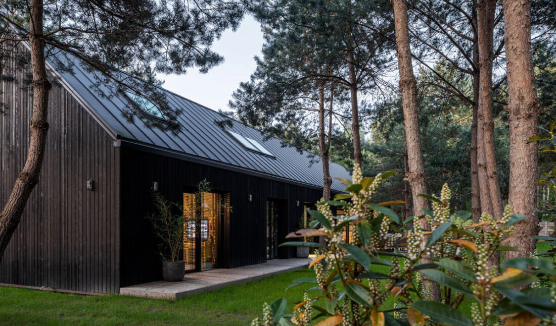 Exterior evening view of a family residence in Poland featuring vertical Degmeda "Dark Black" larch charred wood cladding and a gabled metal roof nestled in a pine forest.