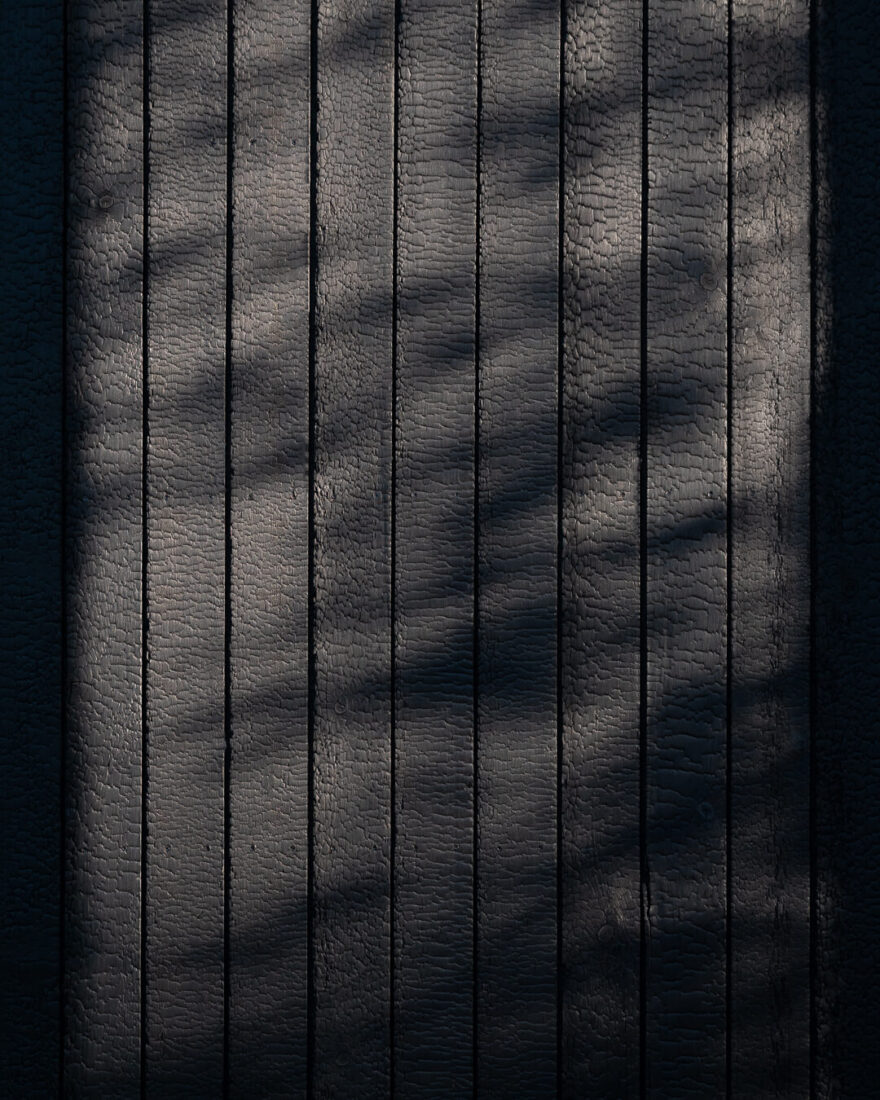 Close-up detail of Degmeda "Deep Char" larch charred wood cladding boards, showcasing the crackled Shou Sugi Ban texture under dappled forest shadows.