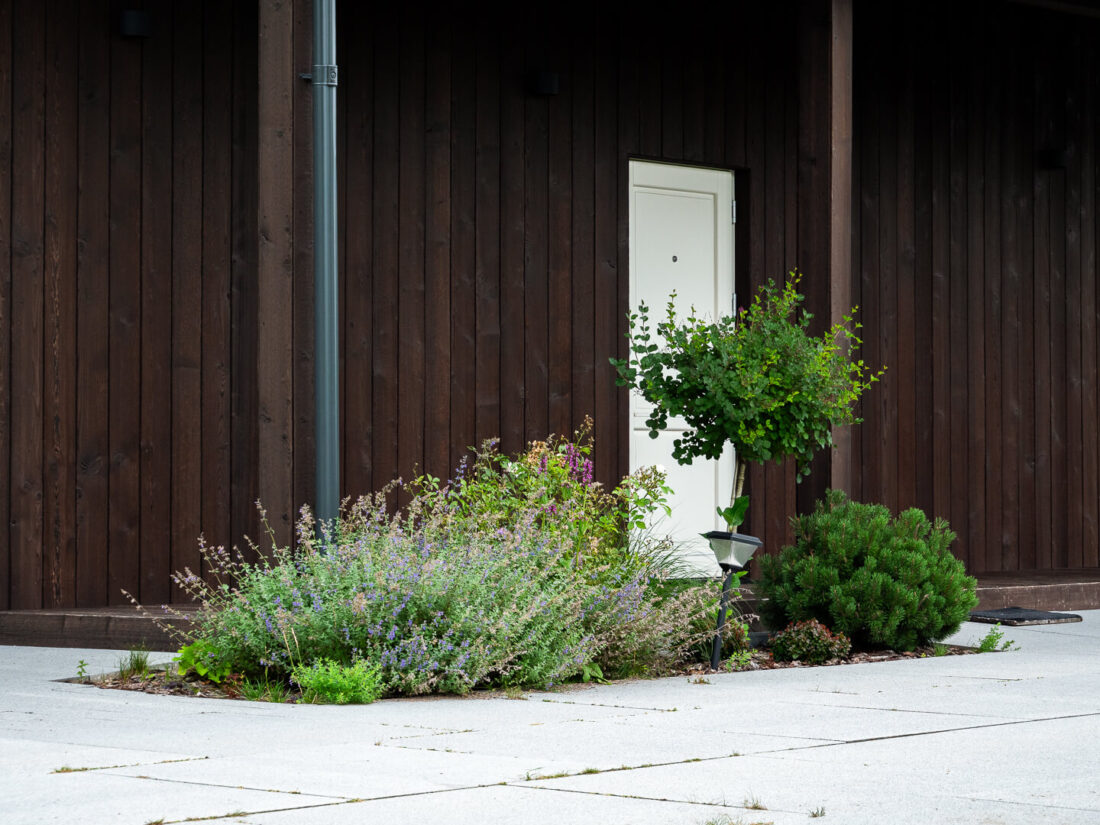 Close-up view of the entrance area of a house in Lithuania featuring vertical Degmeda "Dark Brown" larch boards and garden landscaping next to a white door.