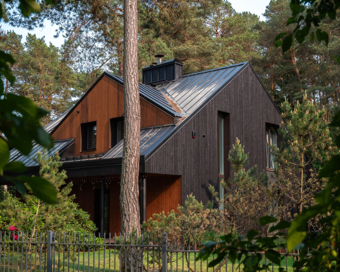 Exterior side view of a modern residence in Kačerginė featuring a combination of vertical Degmeda Deep Char and Amber larch charred wood boards on the facade set within a pine forest.