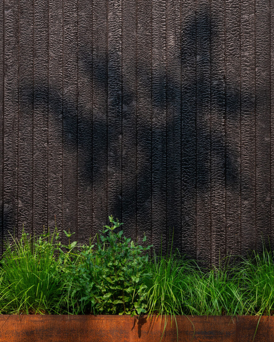 Close-up detail of Degmeda "Deep Char" larch charred wood cladding featuring a heavy crackled texture and dappled shadows above a corten steel planter with green grasses.