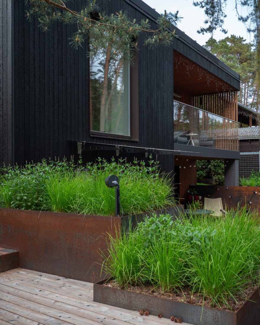 Exterior view of the Kačerginė residence showing vertical Degmeda Deep Char larch charred wood cladding, a modern glass balcony, and weathered corten steel planters with green grasses.